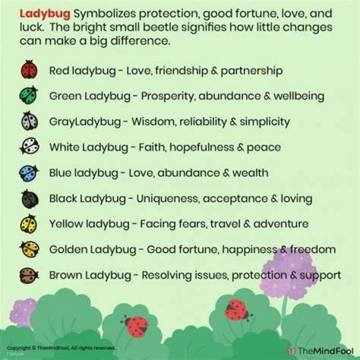 Unraveling the Secrets: What Does a Ladybug Symbolize?