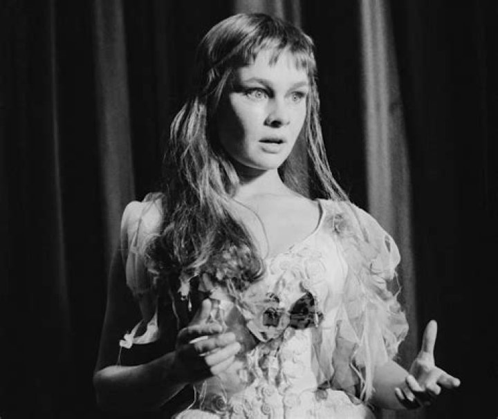 Unveiling the Charm: Judi Dench Photos Young