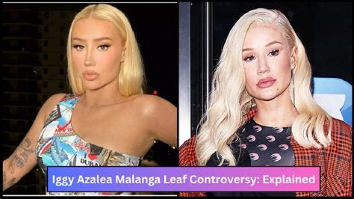 Unveiling the Controversy: The Iggy Azalea Leak