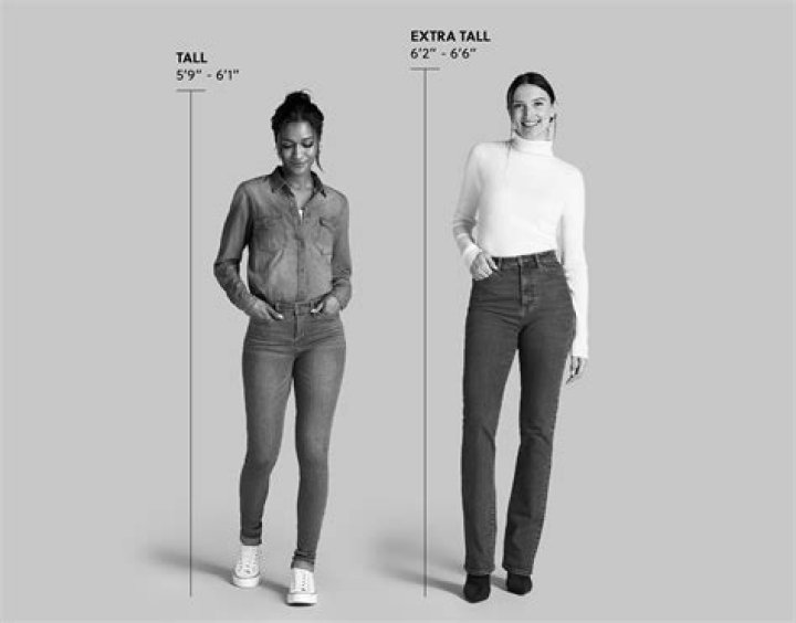 Unveiling the Height of Toosi: How Tall Is This Social Media Star?