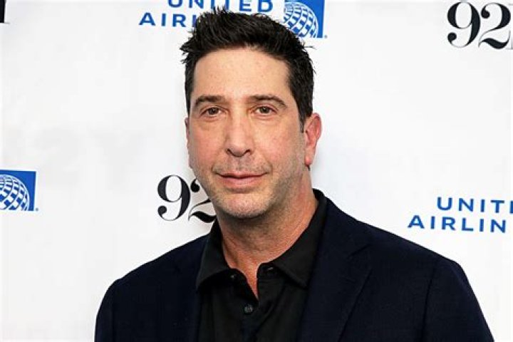 Unveiling the Life of David Schwimmer's Wife: A Journey of Love and Partnership