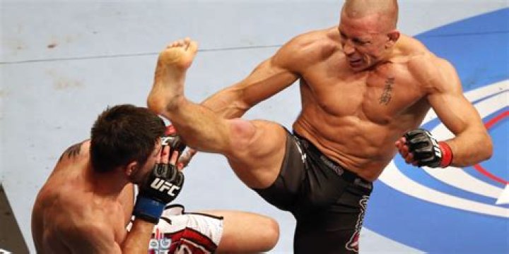 Unveiling the Life of Georges St-Pierre's Wife