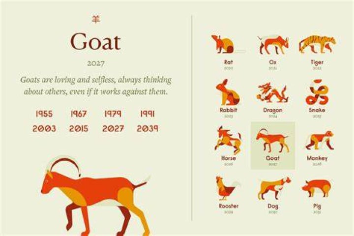 Unveiling the Mysteries of Chinese Zodiac Signs 1991: Insights and Meanings