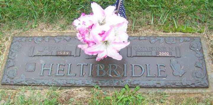 Unveiling the Mystery: James Heltibridle Cause of Death