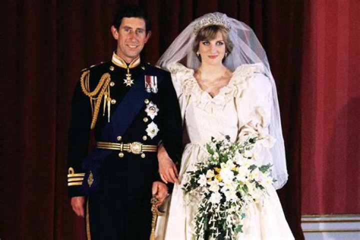 Unveiling the Mystery: The Princess Diana Gore Photo