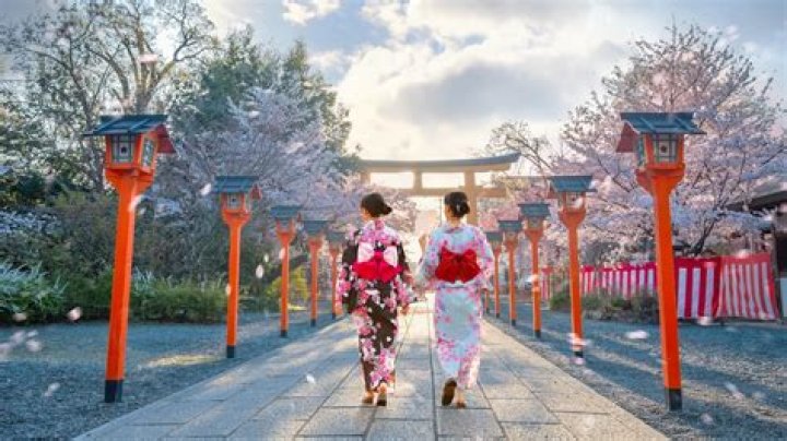 Unveiling the Mystique of Japan Ippa: A Journey through Culture and Tradition
