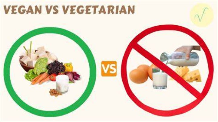 Vegamovies Hollywood: A Comprehensive Guide to the Intersection of Veganism and the Film Industry