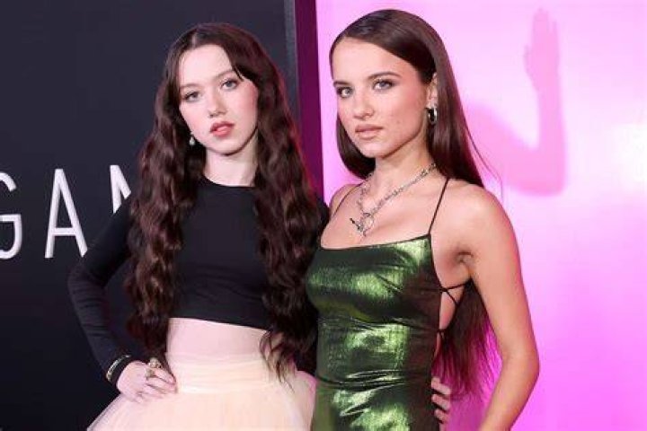 Violet McGraw: Rising Star in the Entertainment World