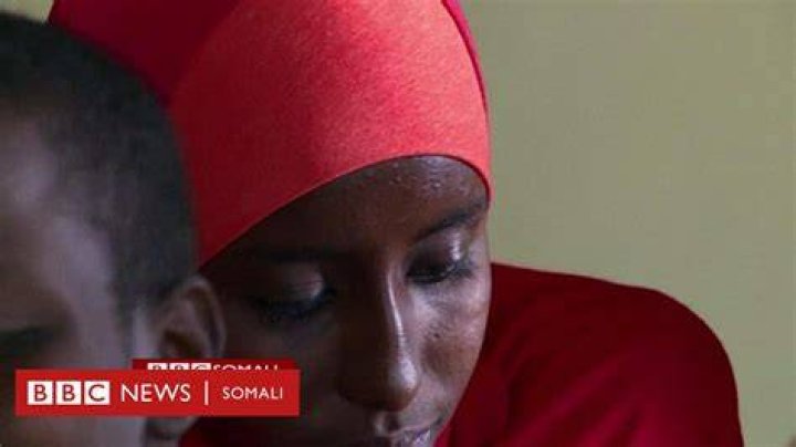 Wasmo Somali Channel Owner: The Story Behind the Viral Sensation