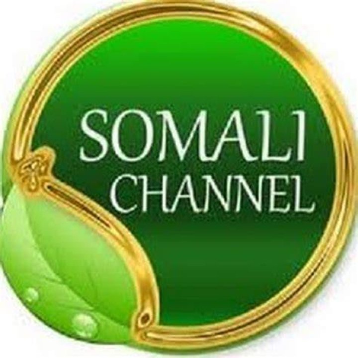 Wasmo Somali Channel YouTube: The Rising Star in Digital Content