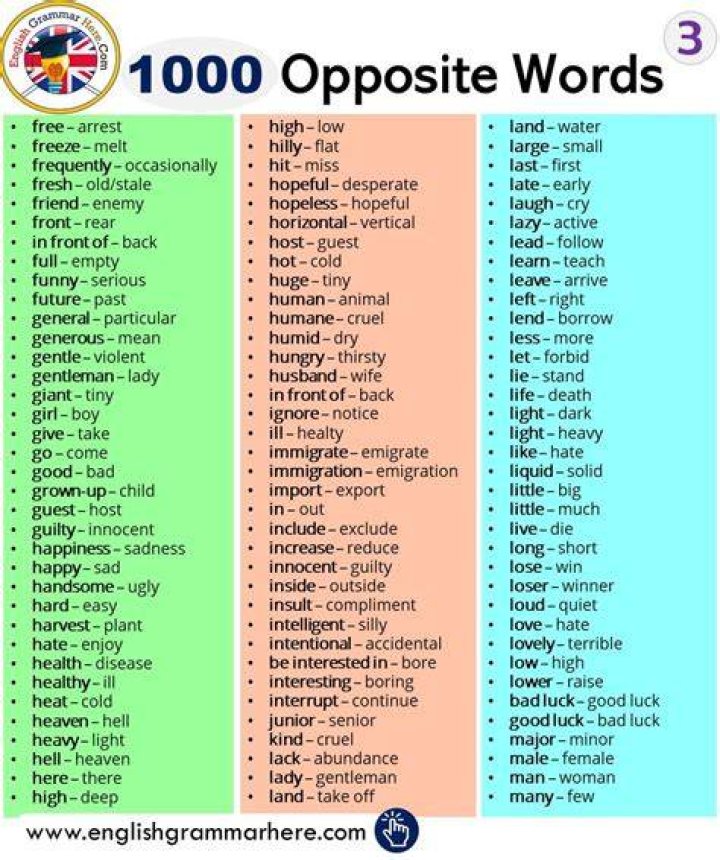 Wasmo Somali Meaning in English PDF Download Free 2020: Your Ultimate Guide