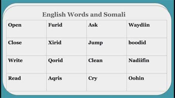 Wasmo Somali Meaning in English PDF Free Download 2021: A Comprehensive Guide