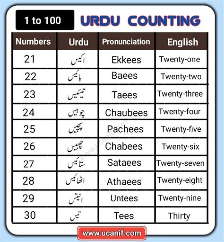 Wasmo Somali Meaning in English PDF in Urdu: Unlocking the Secrets of Somali Culture