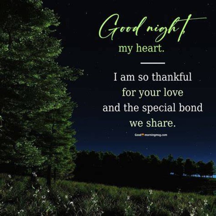 Whispers of Affection: Good Night, Honey, I Love You